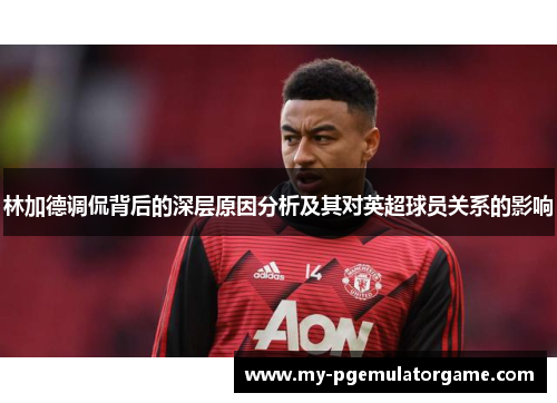林加德调侃背后的深层原因分析及其对英超球员关系的影响