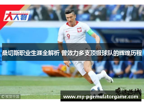 桑切斯职业生涯全解析 曾效力多支顶级球队的辉煌历程