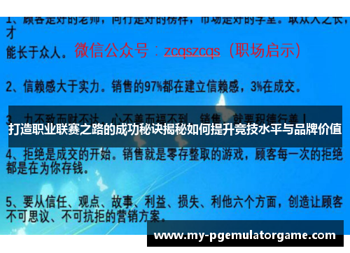 打造职业联赛之路的成功秘诀揭秘如何提升竞技水平与品牌价值