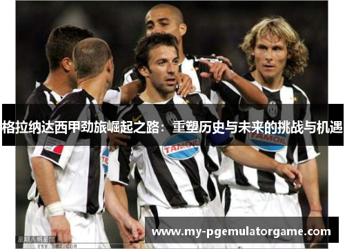 格拉纳达西甲劲旅崛起之路：重塑历史与未来的挑战与机遇